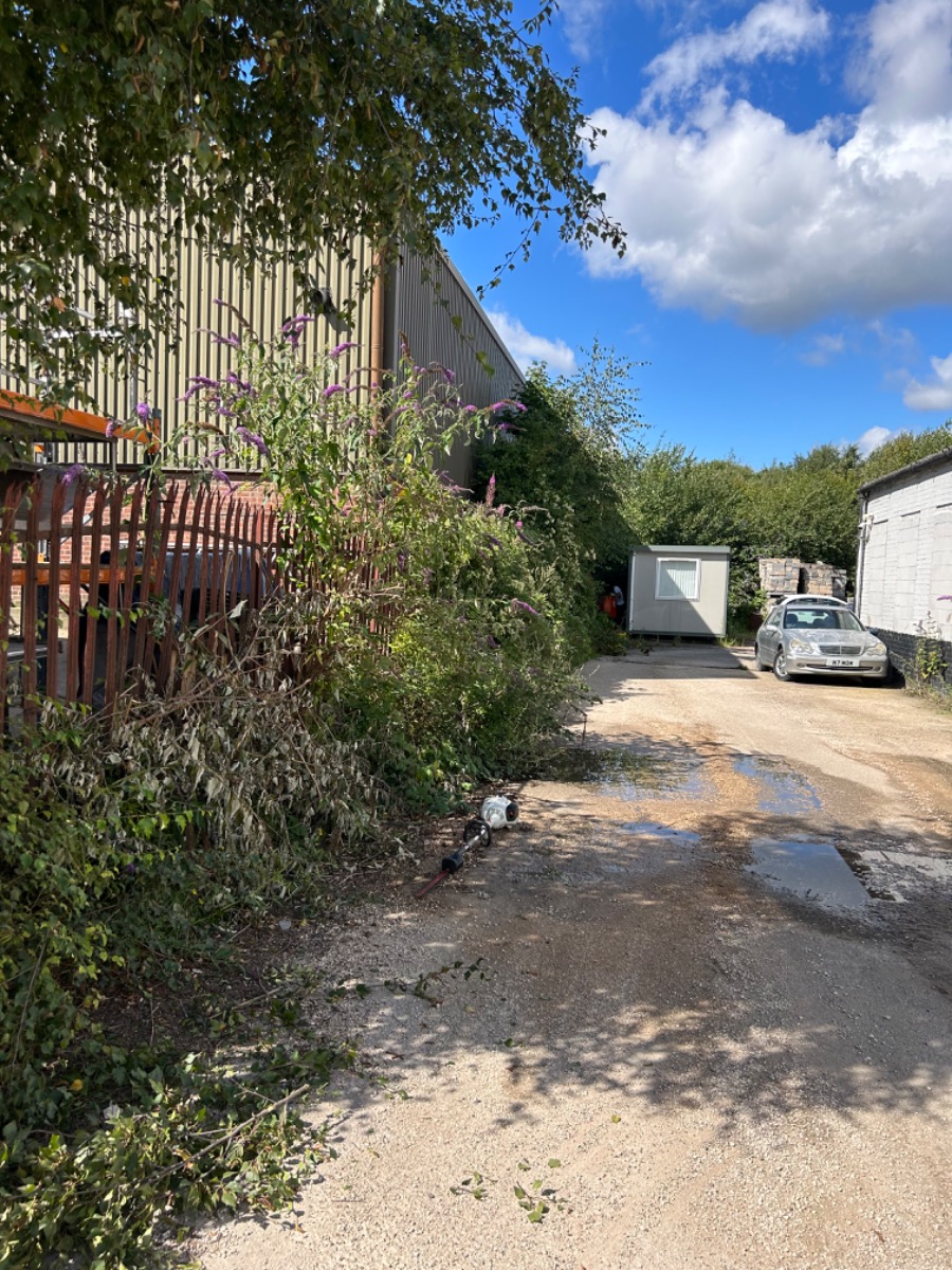 Gardener: Image 1